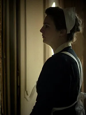 Journal d'une bonne : l'histoire de Félicité Lavergne