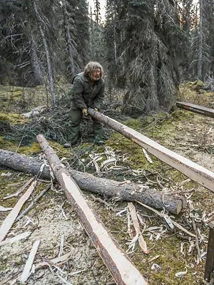 Seuls face à l'Alaska
