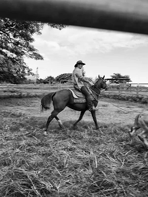 Nouvelle-Calédonie, terres d'avenir