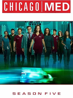Saison 5