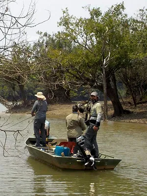 Colombie, expédition peacock bass geants