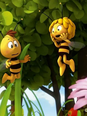 Maya l'abeille 3D S1 E25