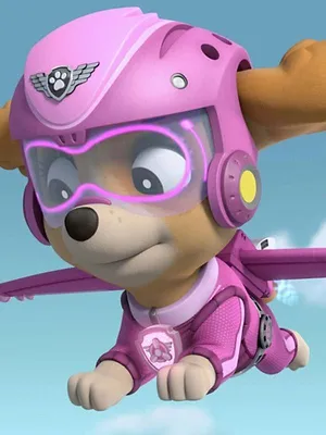 Paw Patrol, la Pat'Patrouille S6 E19