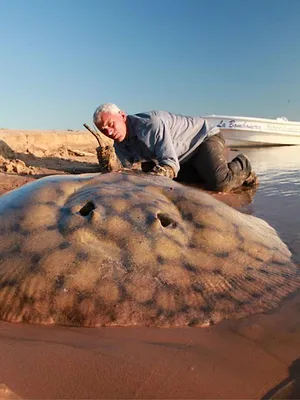 River Monsters