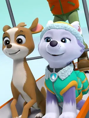 Paw Patrol, la Pat'Patrouille S2 E11