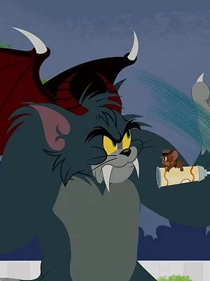 Tom et Jerry Show S1 E52