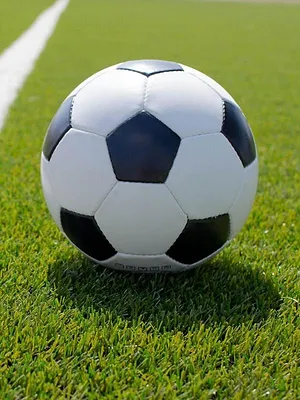 FC Thoune / FC Bâle