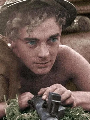 39-45, les animaux dans la guerre