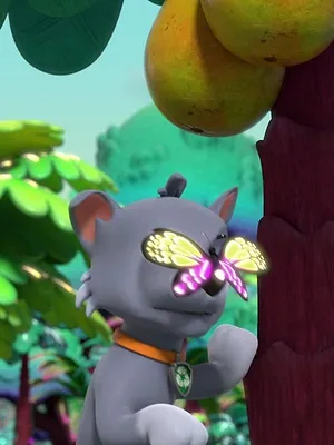 Paw Patrol, la Pat'Patrouille S10 E8