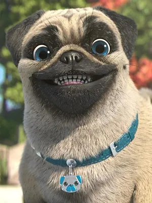Mike, une vie de chien S1 E17