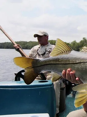 Pêche XXL