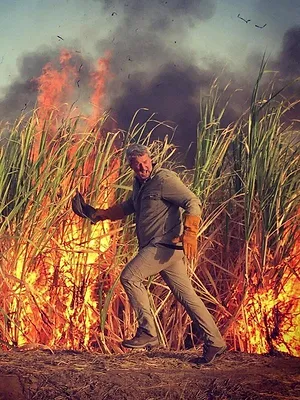 Au bout c'est la mer