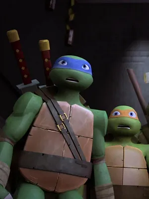 Les Tortues Ninja S3 E25