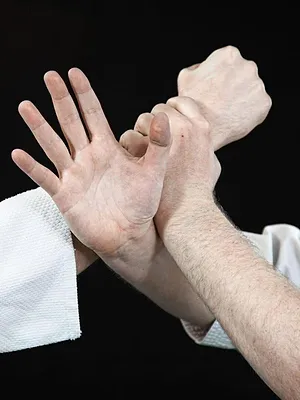 Arts martiaux : Duel MMA