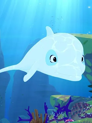 Oum le dauphin blanc S1 E6