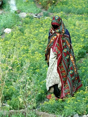 Les mondes d'Ushuaïa