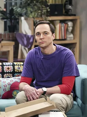 Big Bang Theory S11 E13