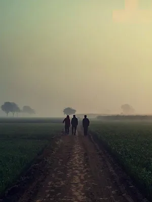 L'union fait la mort