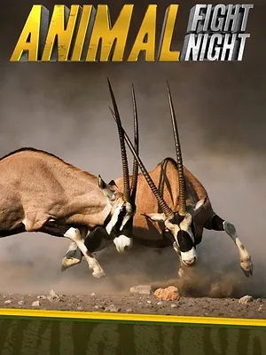 Animal Fight Night