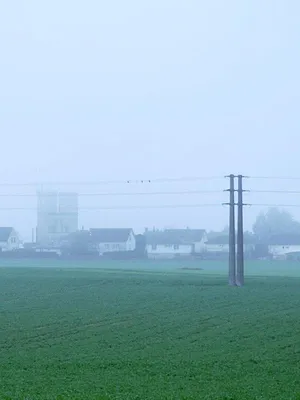 Personne ne t'entendra