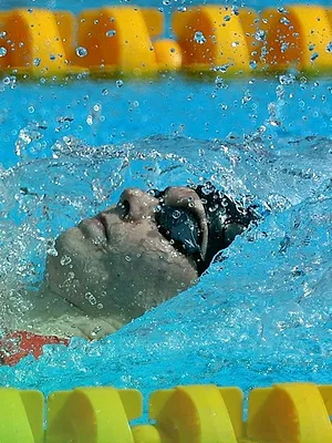 Natation : Championnats d'Europe