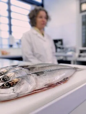 Le poisson : à consommer sans modération ?