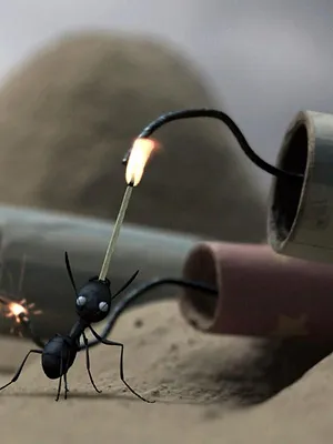 Minuscule - La Vallée des fourmis perdues