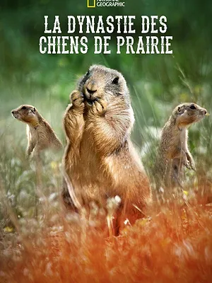 Prairie Dog Manor
