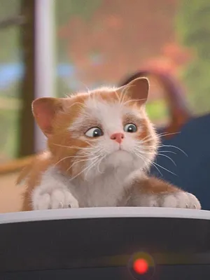 Mike, une vie de chien S1 E52