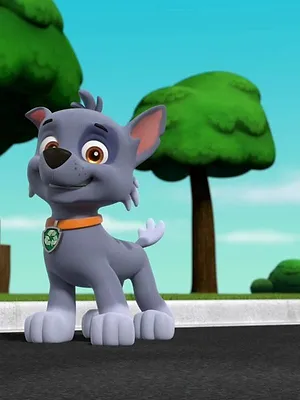 Paw Patrol, la Pat'Patrouille S8 E23