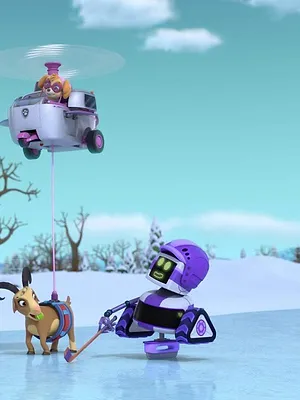 Paw Patrol, la Pat'Patrouille S10 E14