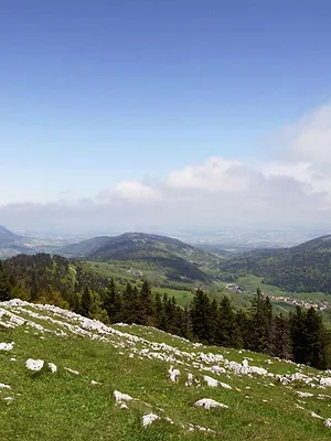 Le pays des merveilles