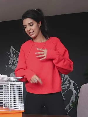 Maak dat de kat wijs