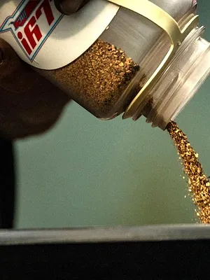 Alaska : La ruée vers l'or