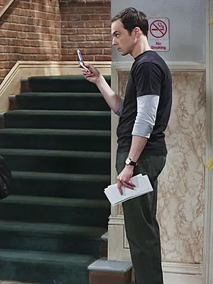 Big Bang Theory S9 E4