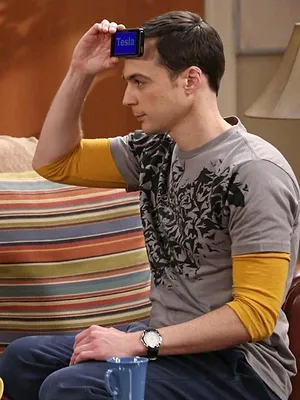 Big Bang Theory S8 E9