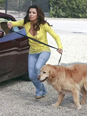 Desperate Housewives S4 E13