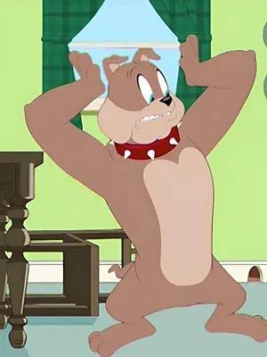 Tom et Jerry Show S4 E26