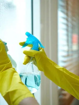 Cleaners les experts du ménage