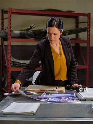 Mayday, dangers dans le ciel