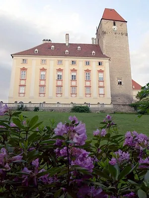 Traumschlösser und Ritterburgen