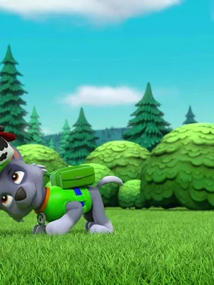 Paw Patrol, la Pat'Patrouille S3 E20