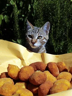 Cuisines des terroirs