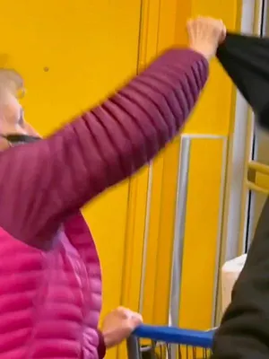 Sur le vif : vidéos insolites