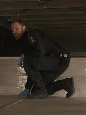 Au cœur des douanes : Suède