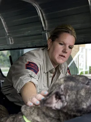 Animal Cops