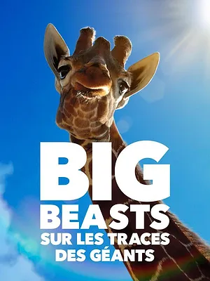 Saison 1