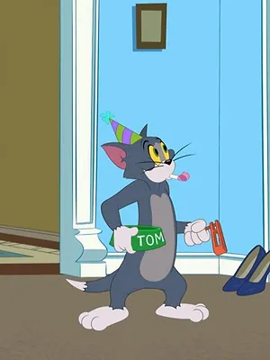 Tom et Jerry Show S5 E3