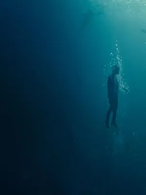 Journal Météo Climat