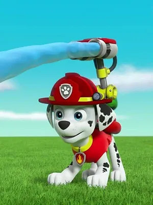 Paw Patrol, la Pat'Patrouille S4 E1